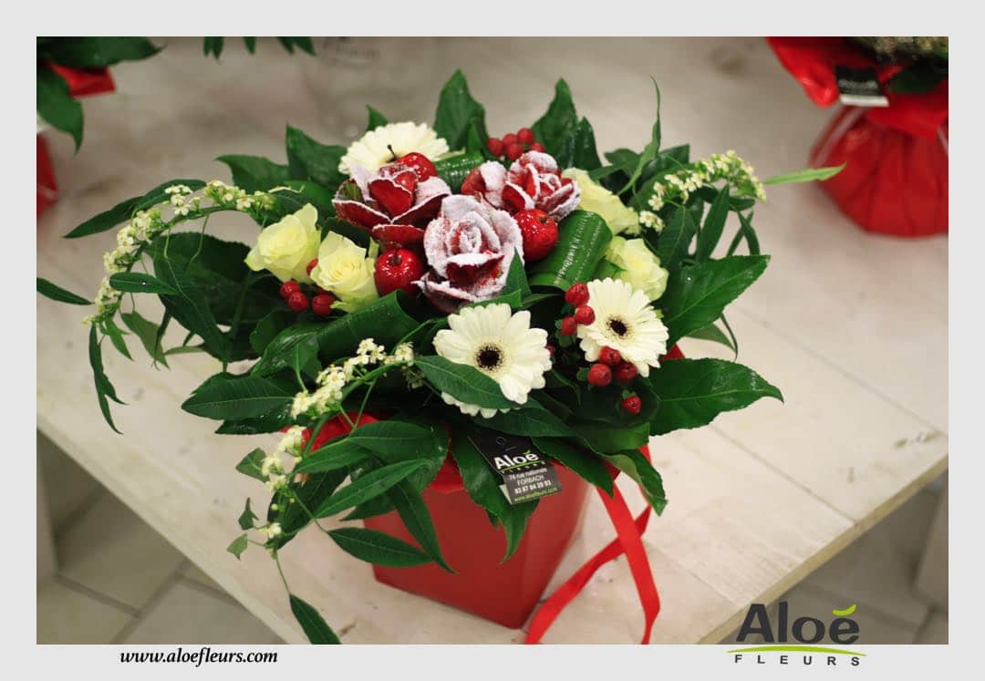 Bouquets & Compositions Noel Aloé Fleurs29
