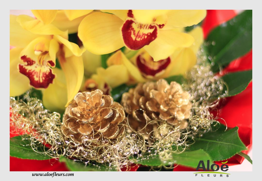 Bouquets & Compositions Noel Aloé Fleurs35