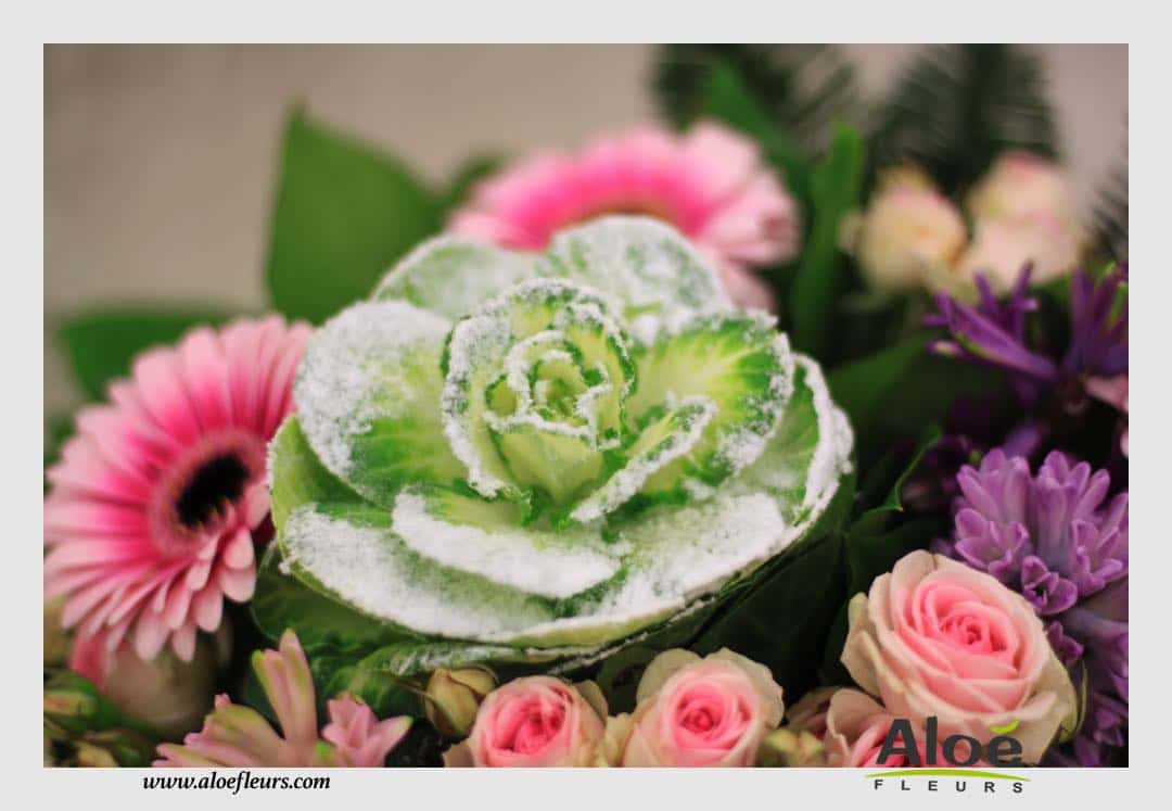 Bouquets & Compositions Noel Aloé Fleurs42