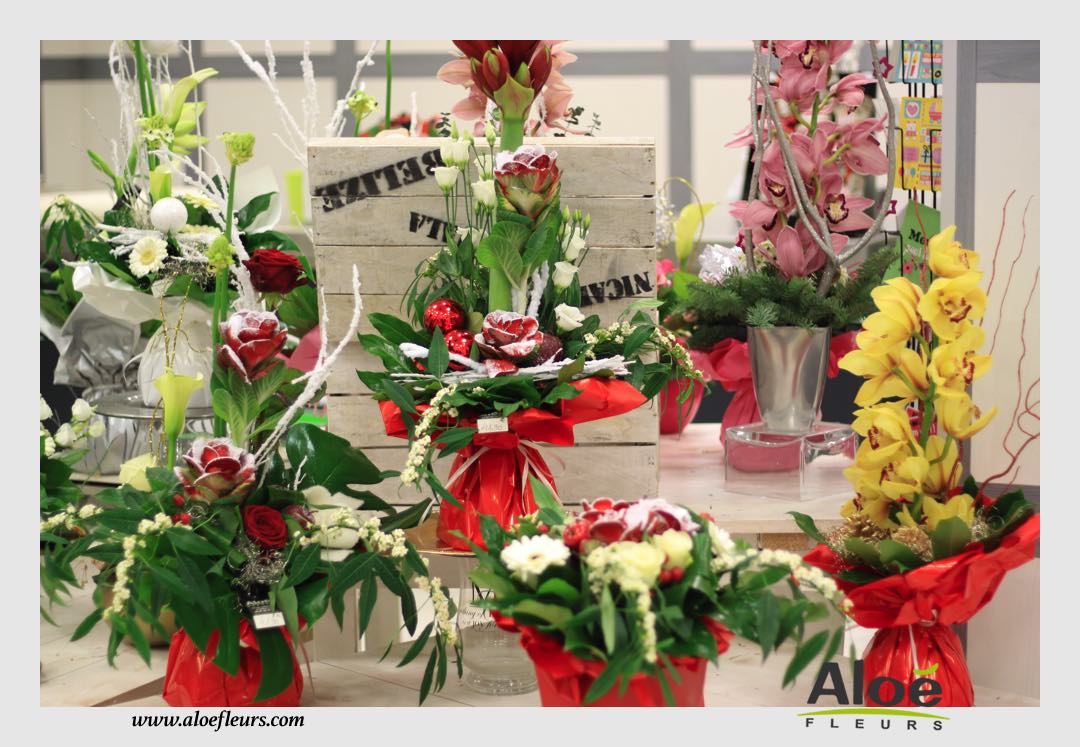 Bouquets & Compositions Noel Aloé Fleurs47