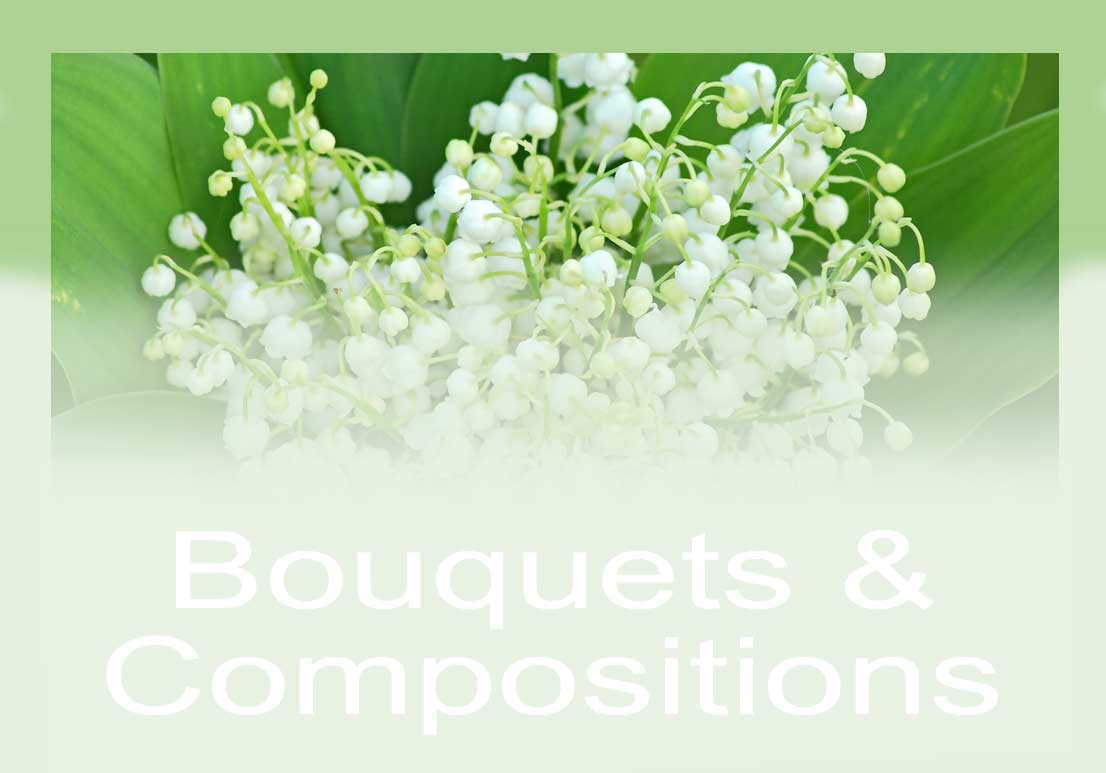 Bouton Bouquets