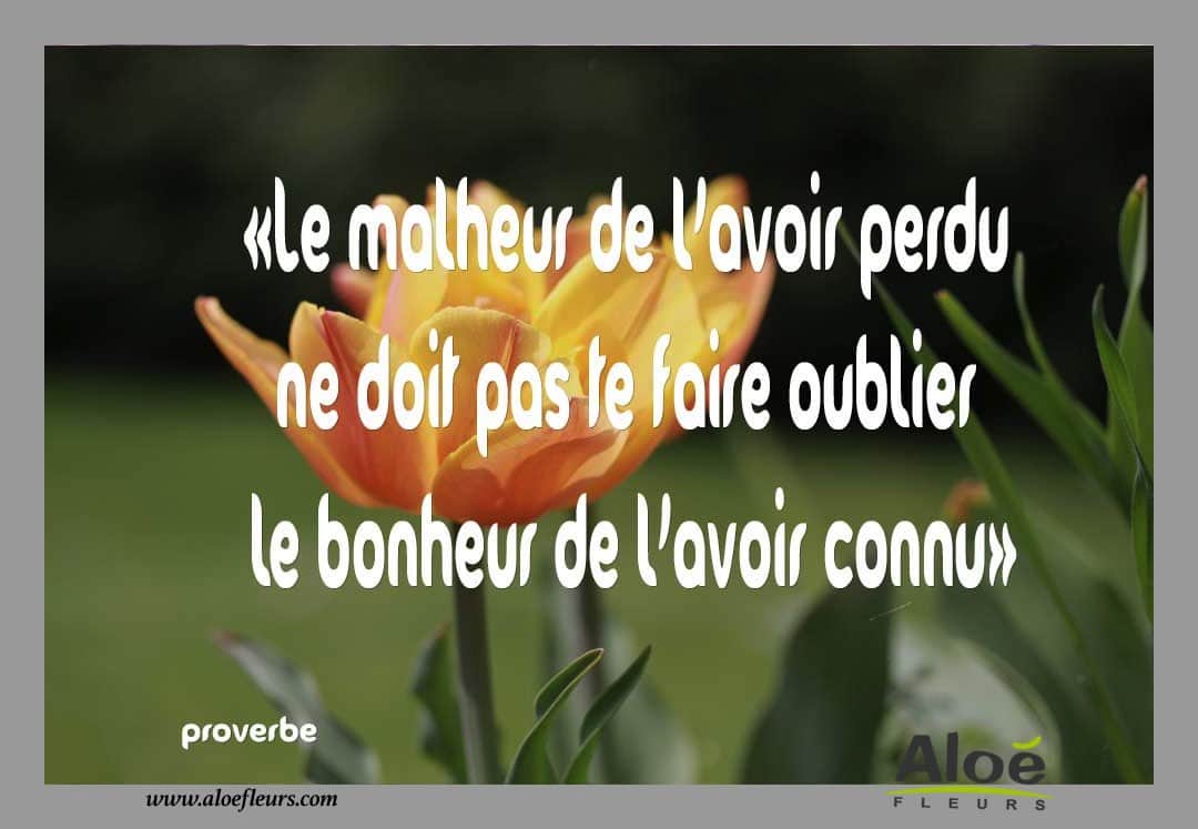 Messages Citations Poemes Pour Le Deuil Aloe Fleurs