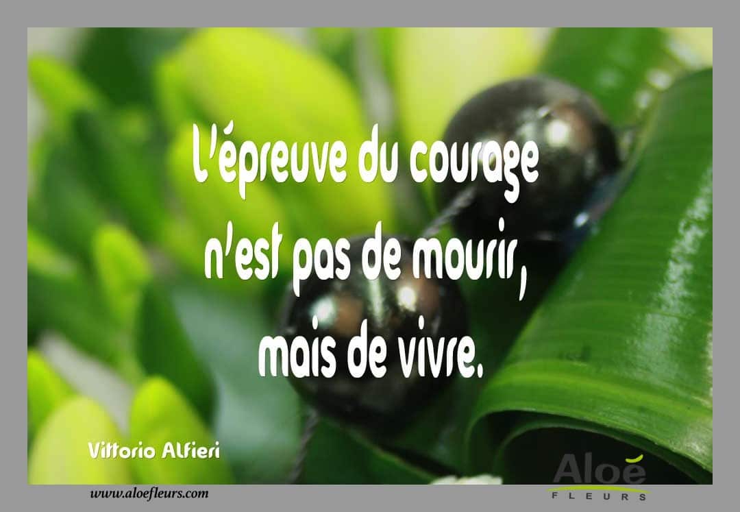 Citation Poème DeuilL'épreuve Du Courage N'est Pas De Mourir, Mais De Vivre. 