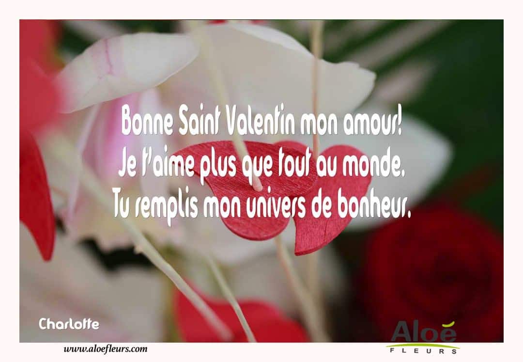 Citations D'amour Et Saint Valentin  Bonne Saint Valentin Mon Amour