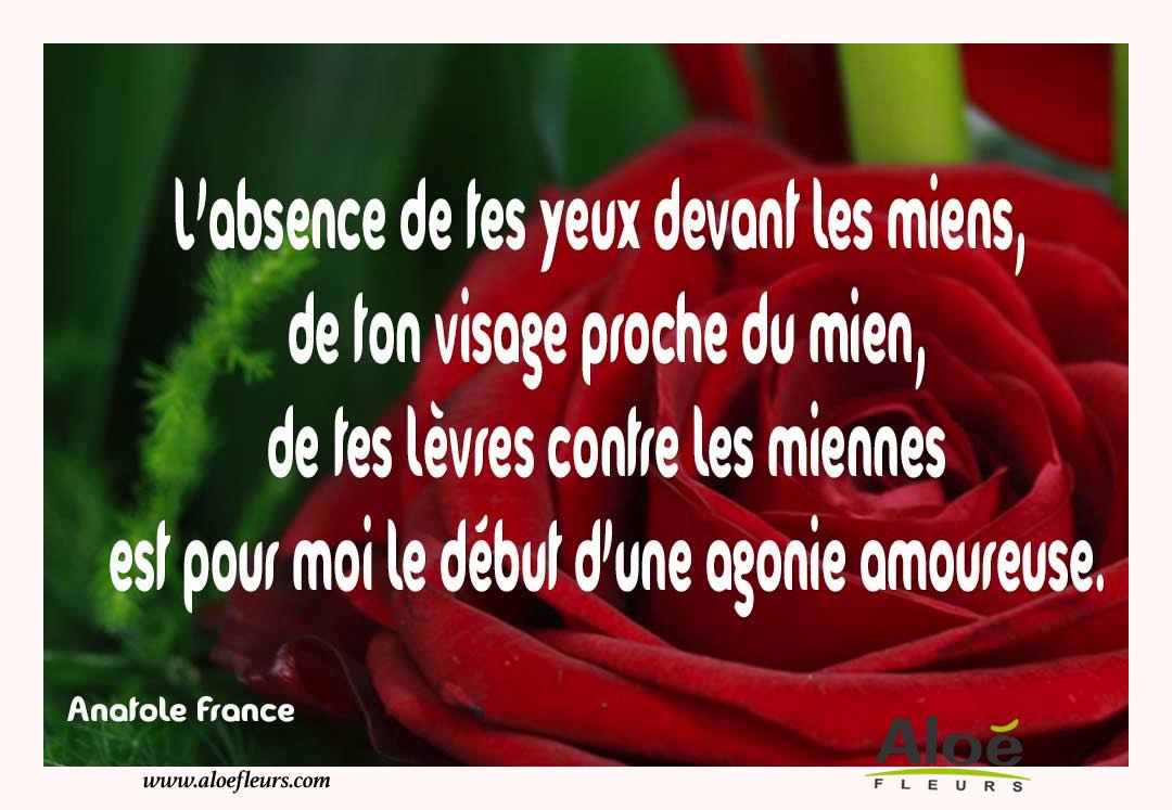 Citations D'amour Et Saint Valentin  L'absence De Tes Yeux Devant Les Miens