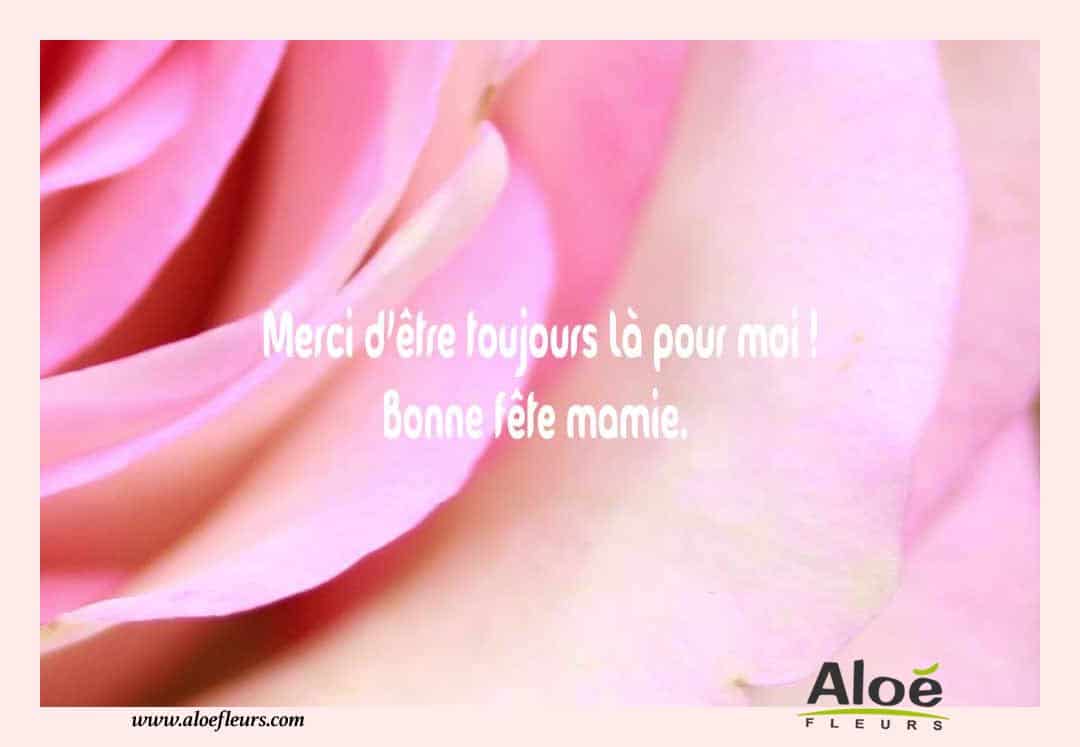 Citations Messages Fete Des Grands Meres 2016 Aloefleurs.com   Merci D'être Toujours Là Pour Moi ! Bonne Fête Mamie. 
