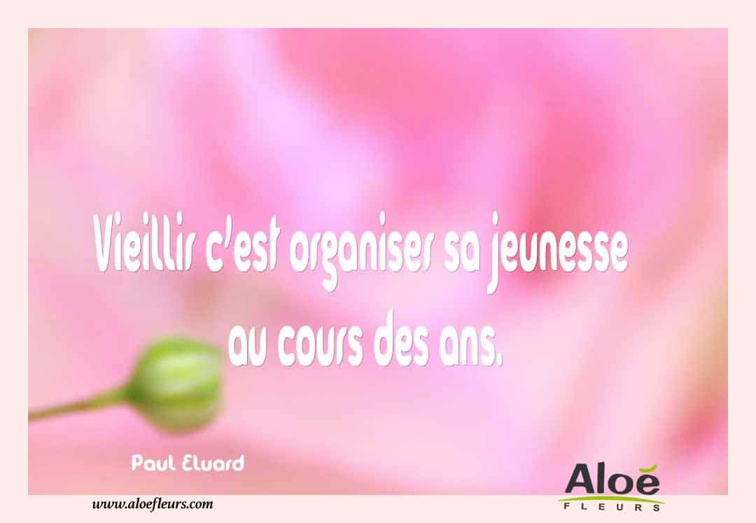 Citations Messages Fete Des Grands Meres 2016 Aloefleurs.com   Paul Eluard 