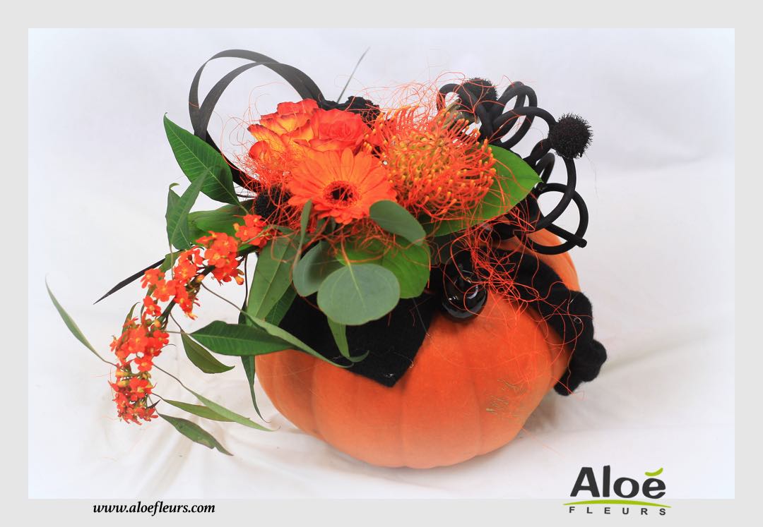 Compositions Florales Halloween Aloé Fleurs   7