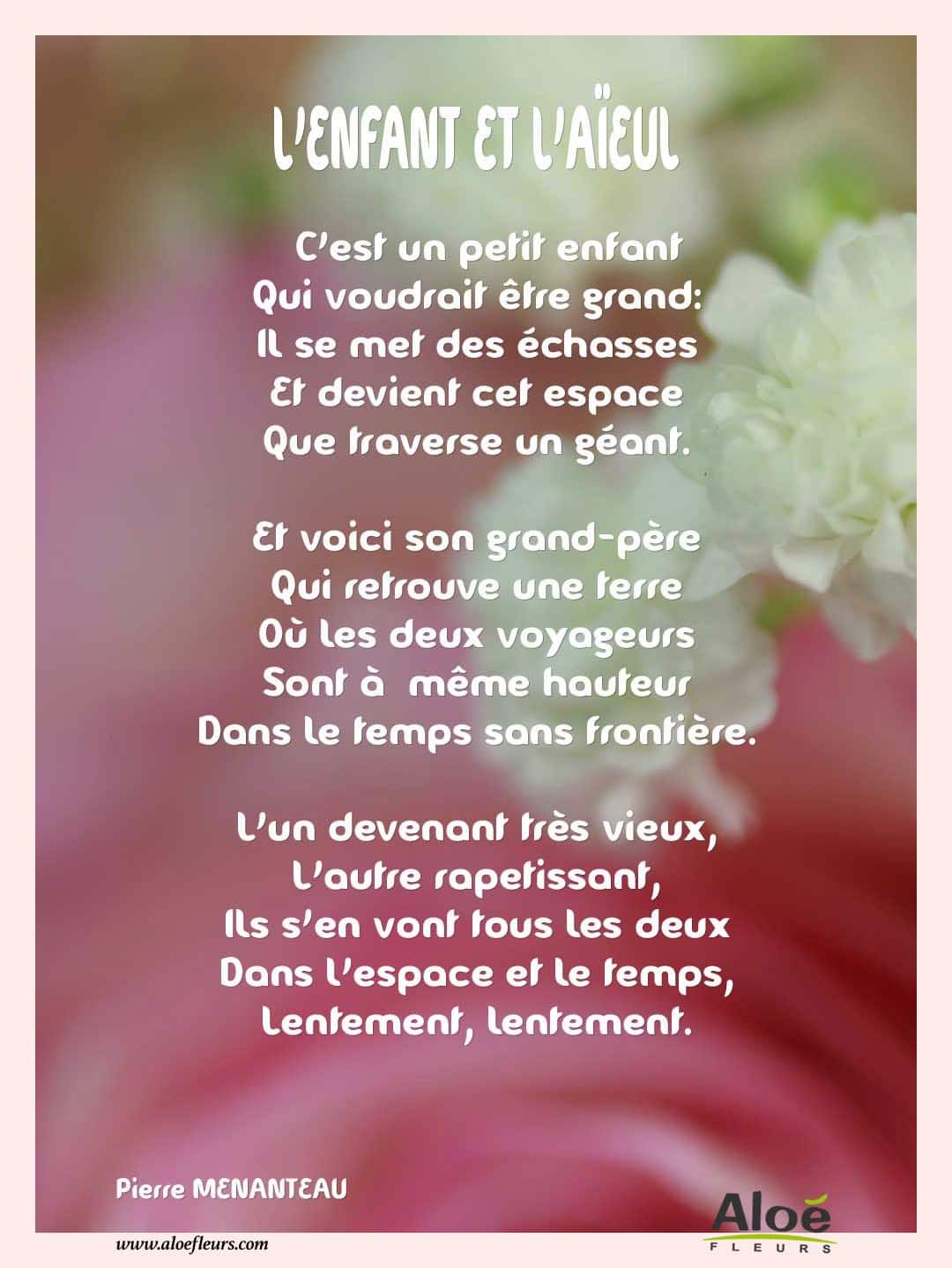 Poemes Fete Des Grands Meres 2016 Aloefleurs.com   L'ENFANT ET L'AÏEUL