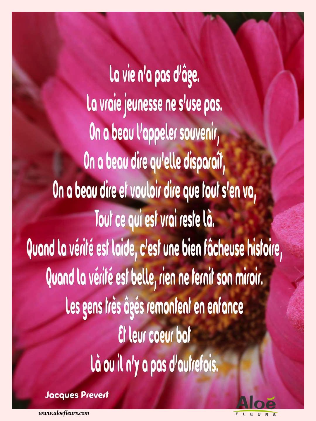 Poemes Fete Des Grands Meres 2016 Aloefleurs.com   La Vie N'a Pas D'âge