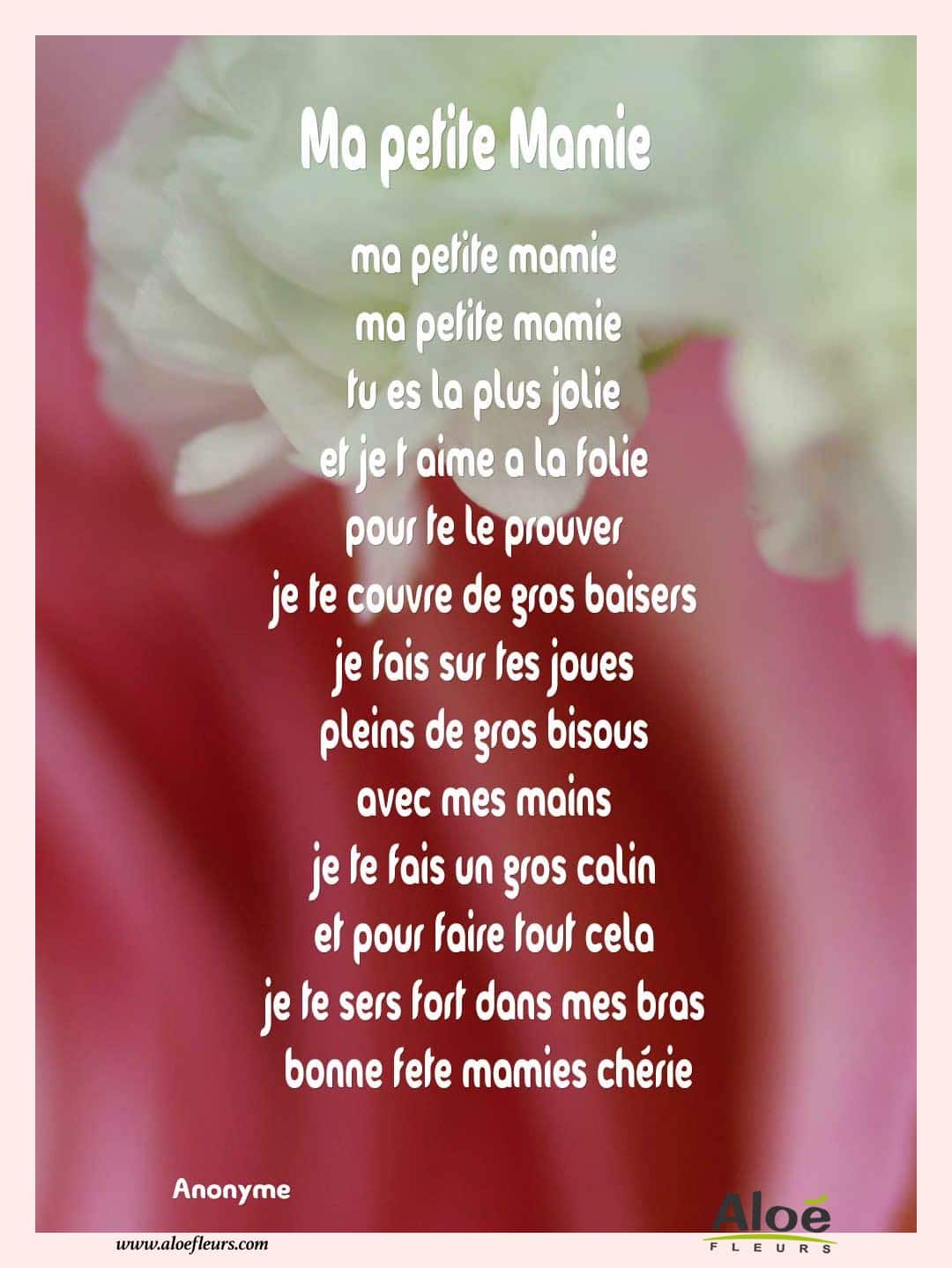 Poemes Fete Des Grands Meres 2016 Aloefleurs.com   Ma Petite Mamie